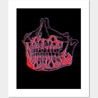 Jaw Bone A Posters and Art